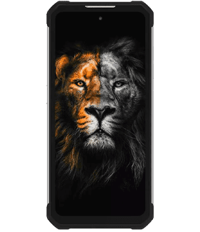 Ремонт Oukitel WP17 в Иркутске