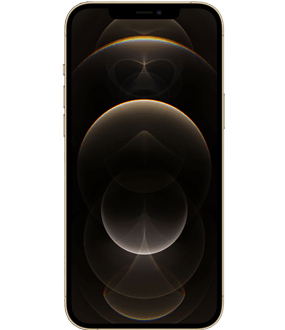 Ремонт iPhone 12 Pro Max в Иркутске