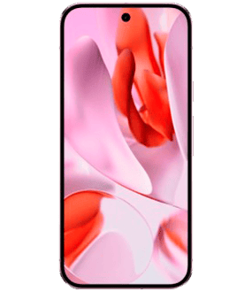 Ремонт Google Pixel 9 в Иркутске