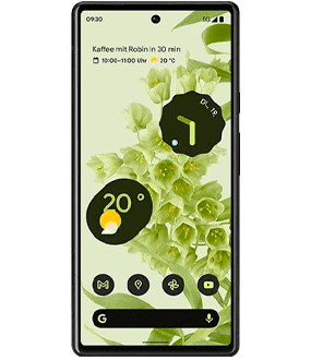 Ремонт Google Pixel 6 в Иркутске